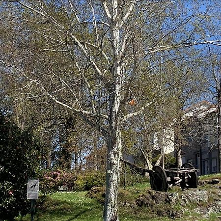 Campo De Estrellas Daire Santiago de Compostela Dış mekan fotoğraf